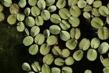 定位系统横向项目